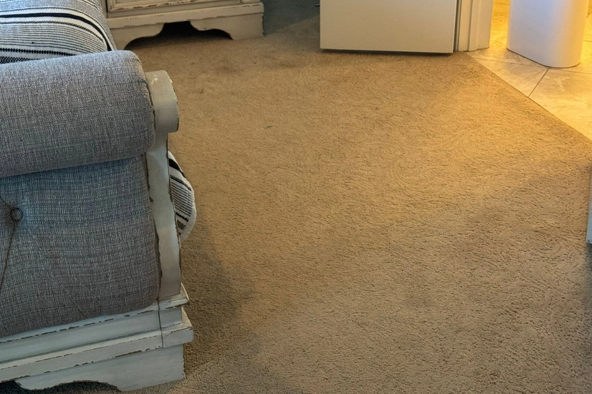 Gleamora Cleaning Services in Tulsa, OK. Home Cleaning, Carpet cleaning, Upholstery cleaning, Window cleaning, Gardening/Landscaping and Car wash.