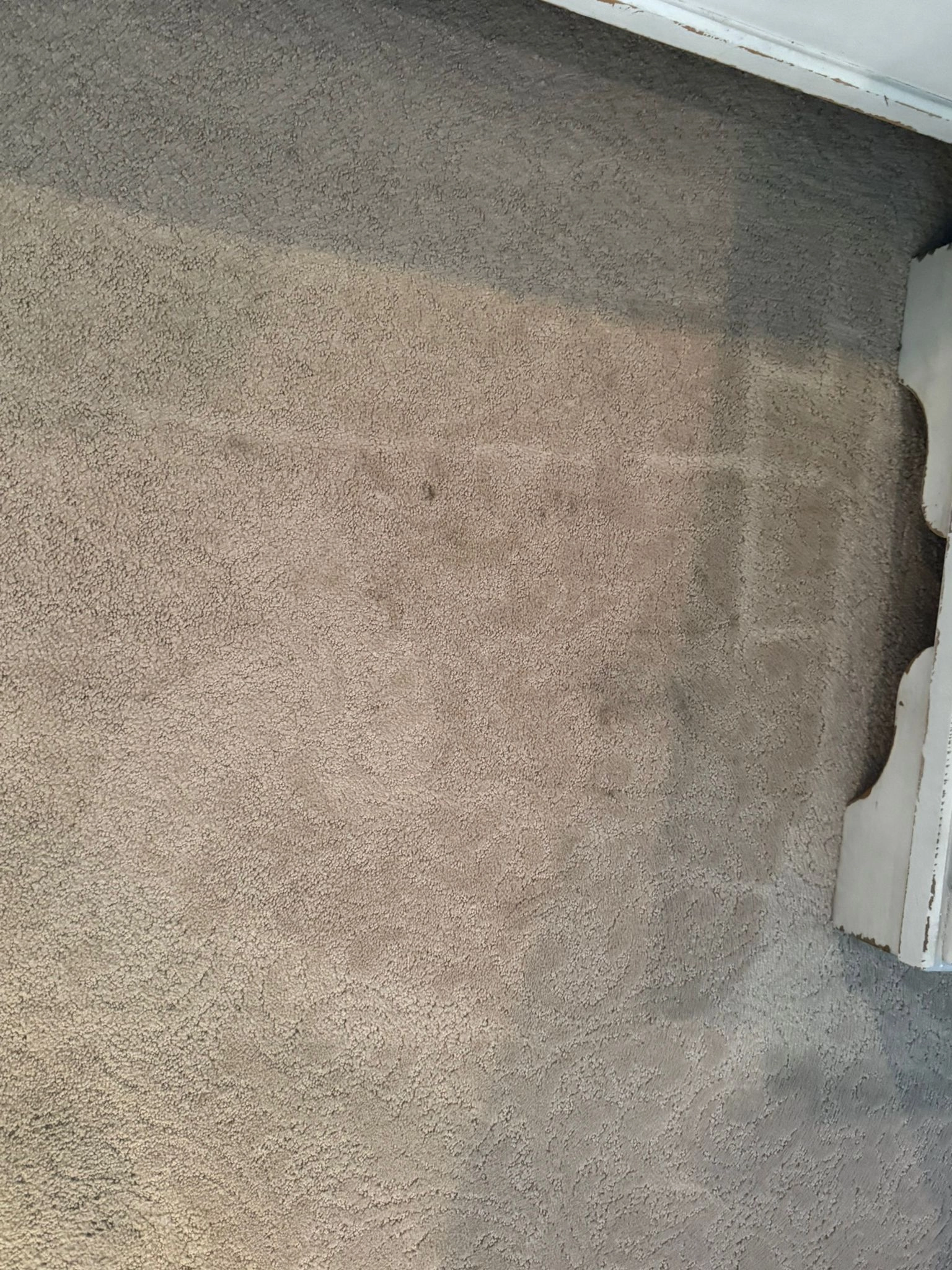 Gleamora Cleaning Services in Tulsa, OK. Home Cleaning, Carpet cleaning, Upholstery cleaning, Window cleaning, Gardening/Landscaping and Car wash.